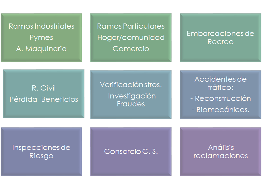 grafico sectores intervencion